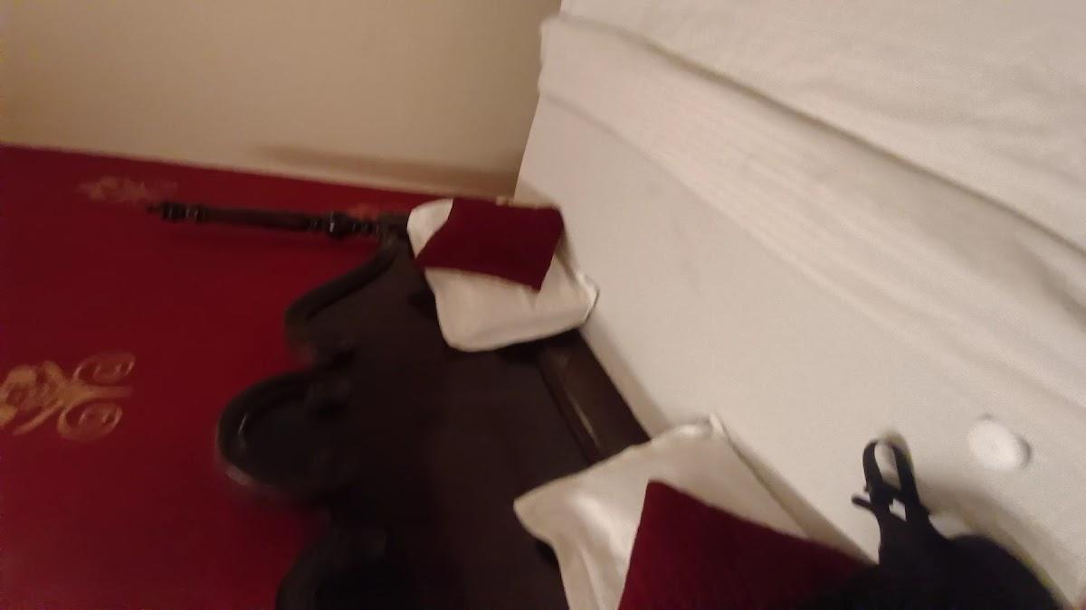 The Lake View Hotel, On Lake Pichola, Udaipur – photo 2