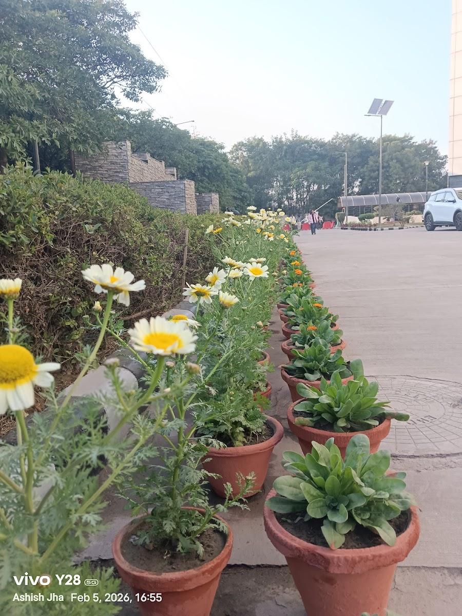 Rohini sector 16 – photo 1