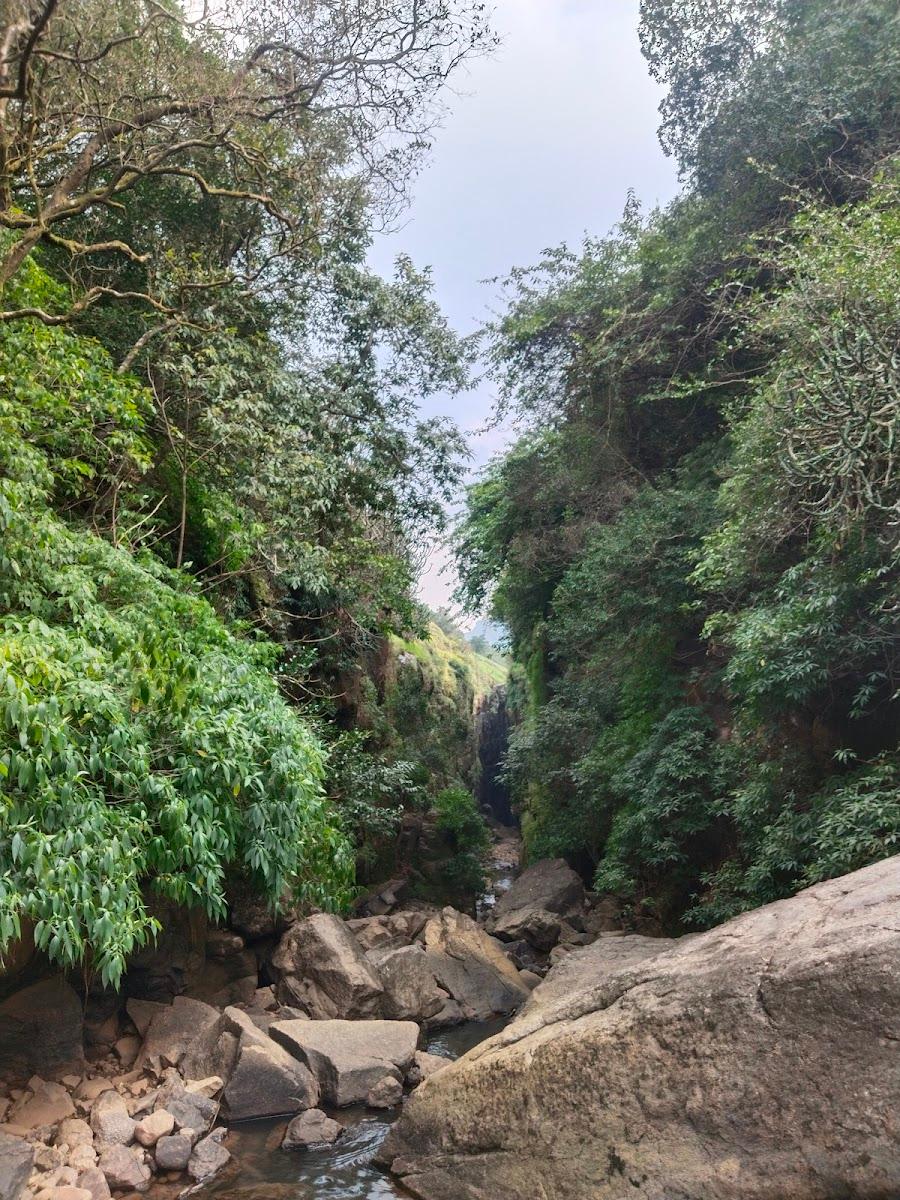 अकोले – photo 3