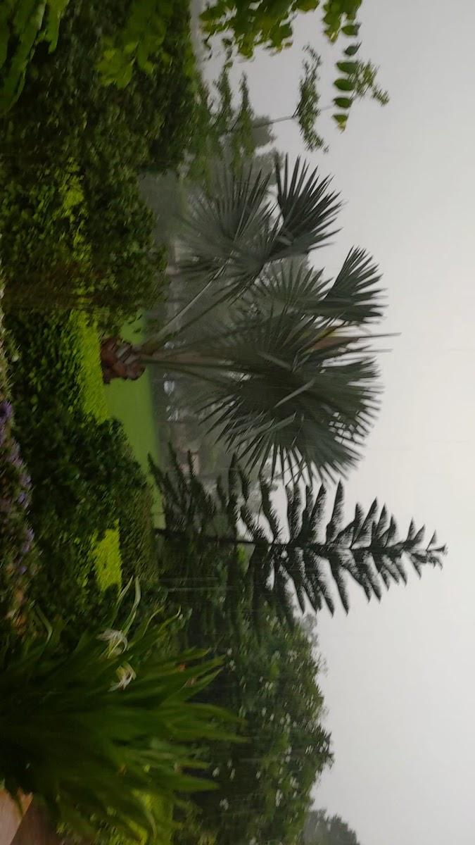 The Foothills Villas – photo 2