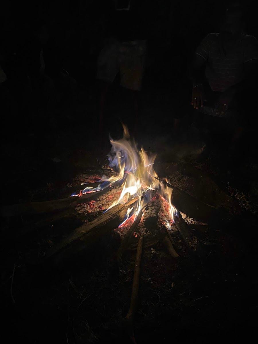Cloudy Nandy Hills Camping Stay Poombarai, Kodaikanal – photo 2