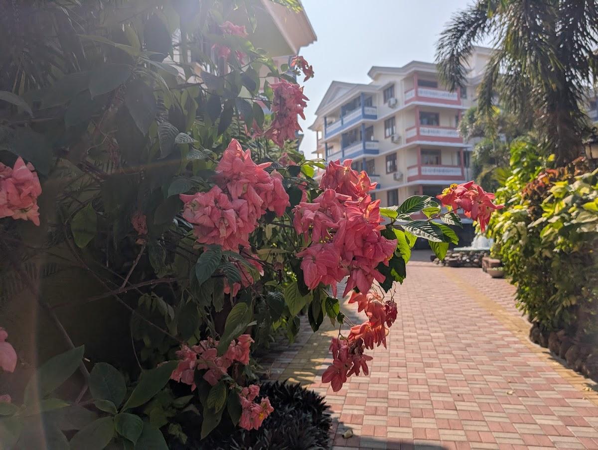 La Grace Resort – photo 3
