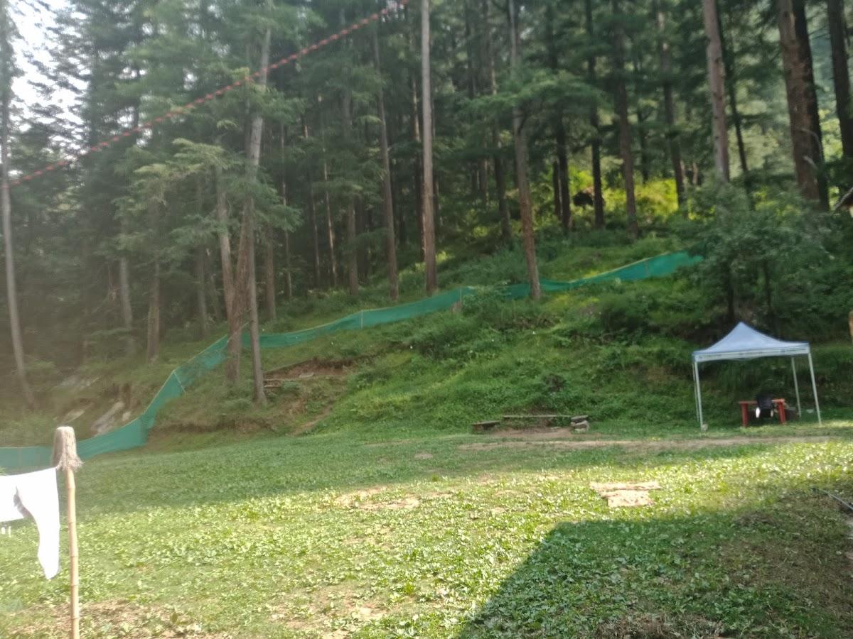 JUNGLE HOUSE KASOL – photo 2
