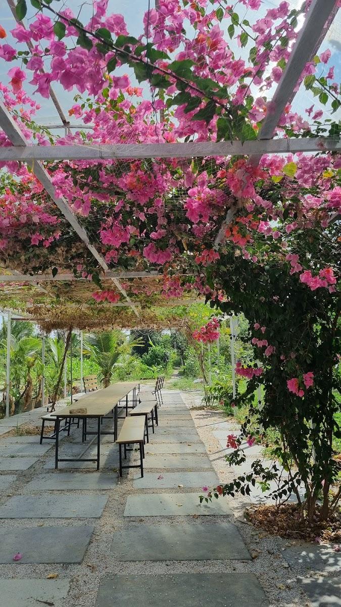 The Lilac Farm – photo 4