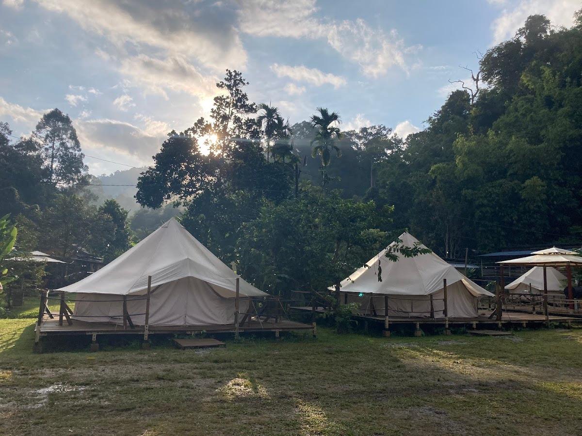 Canopy Villa Glamping Park – photo 4