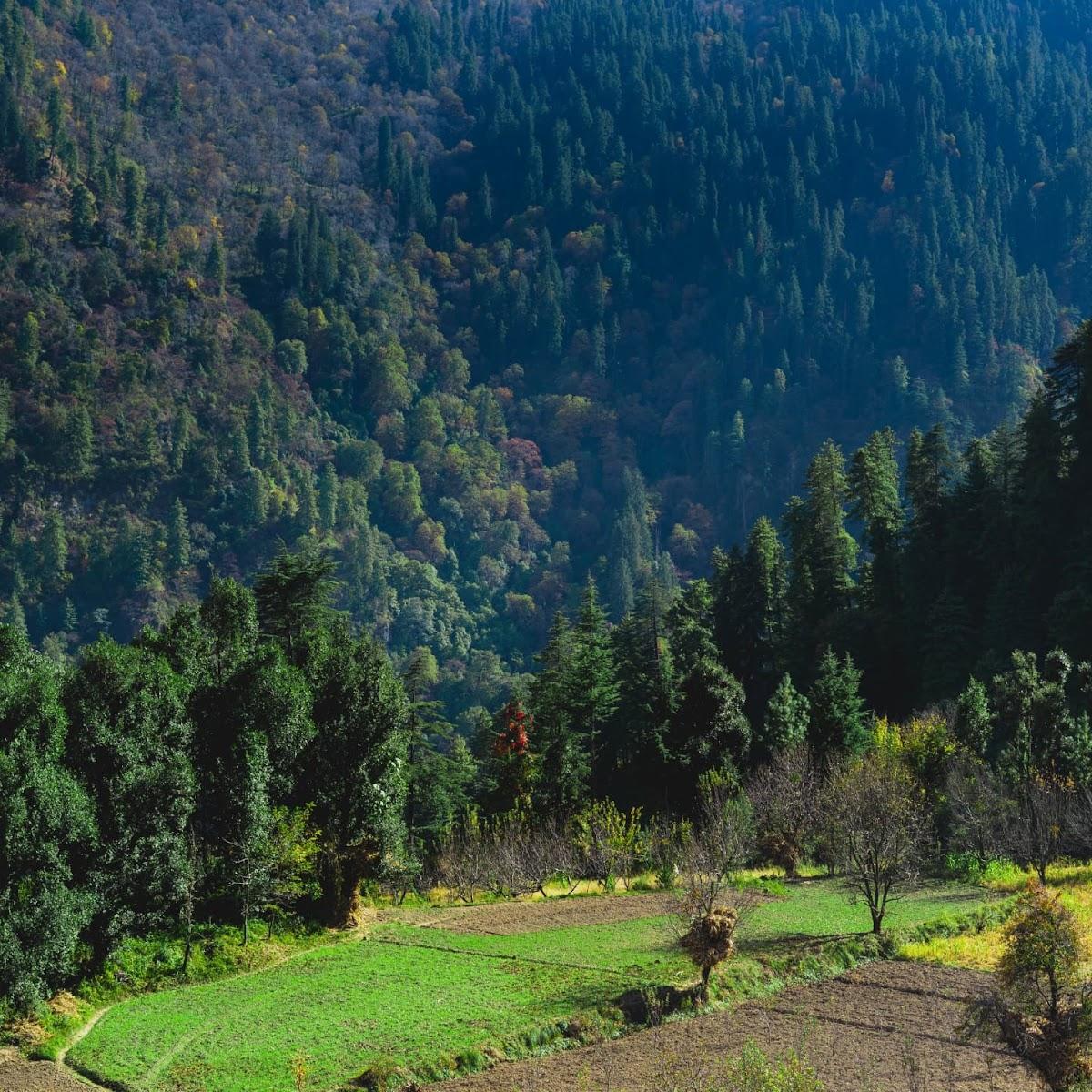 Upper Neahi – photo 3