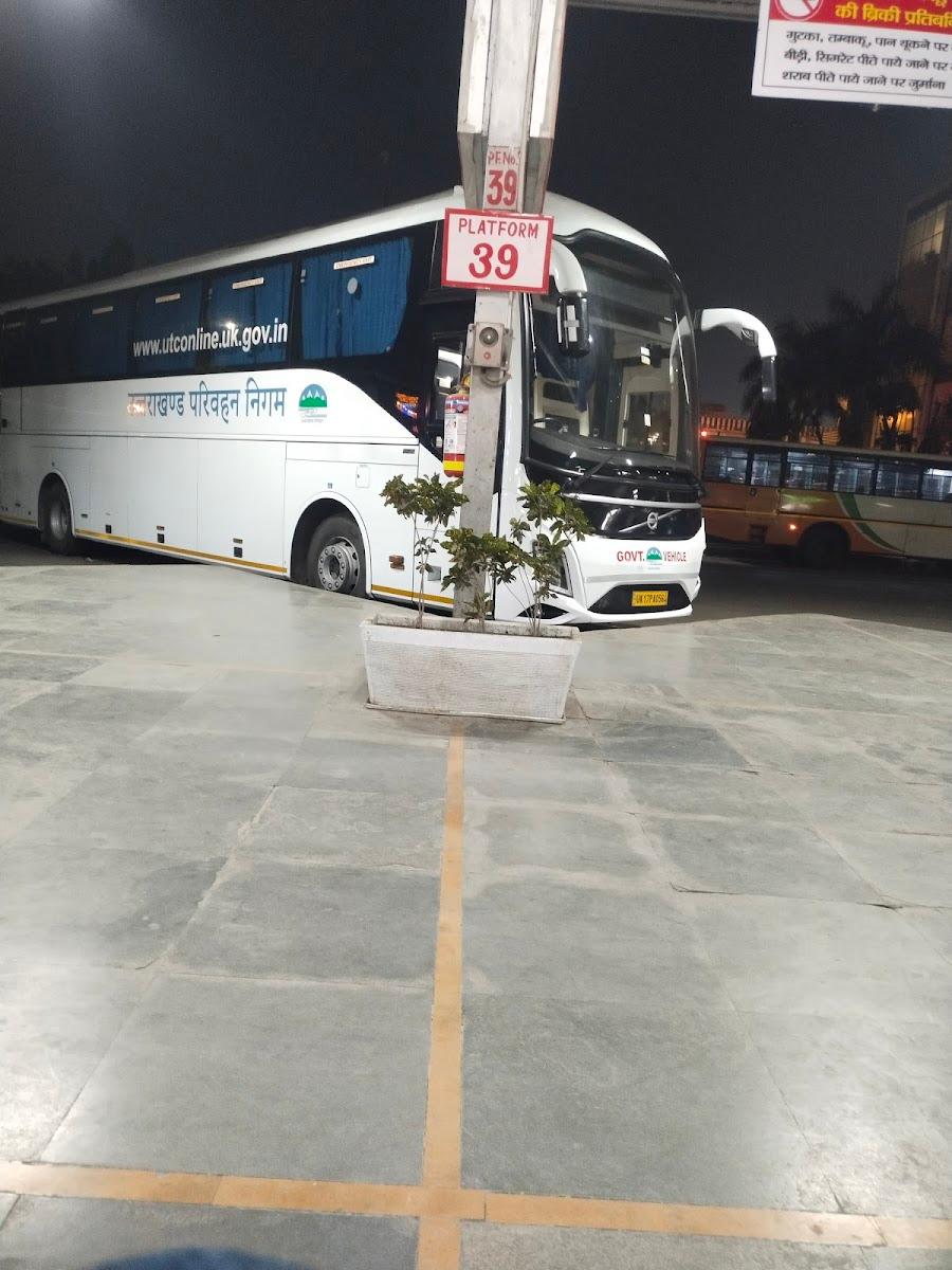 ISBT – photo 2