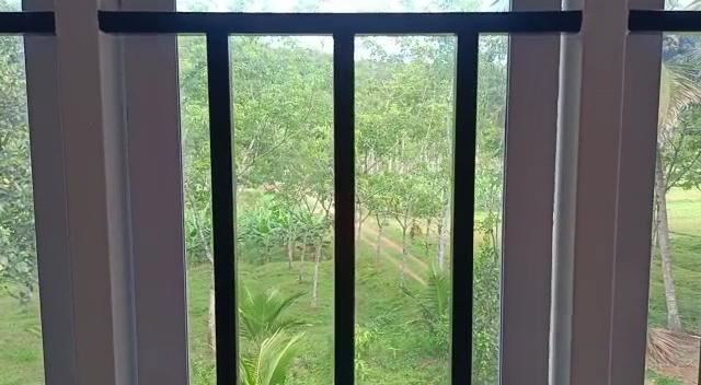 Paradise Homestay – photo 2