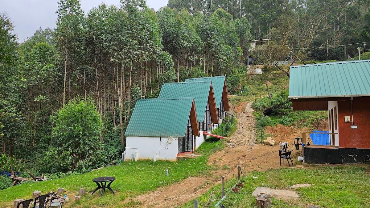 Vattavada Jungle Resort – photo 1