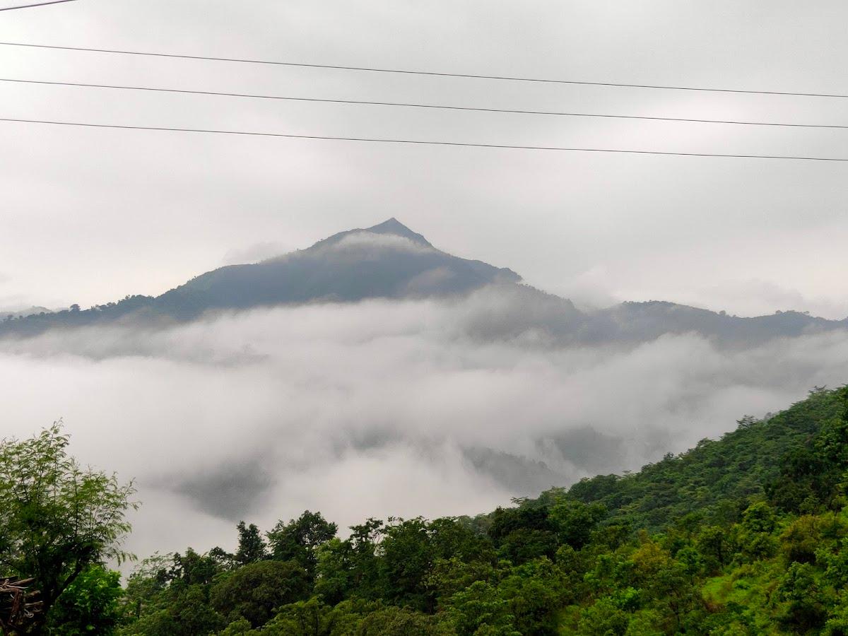 Vatika Luxury Jungle Camp Rishikesh – photo 4