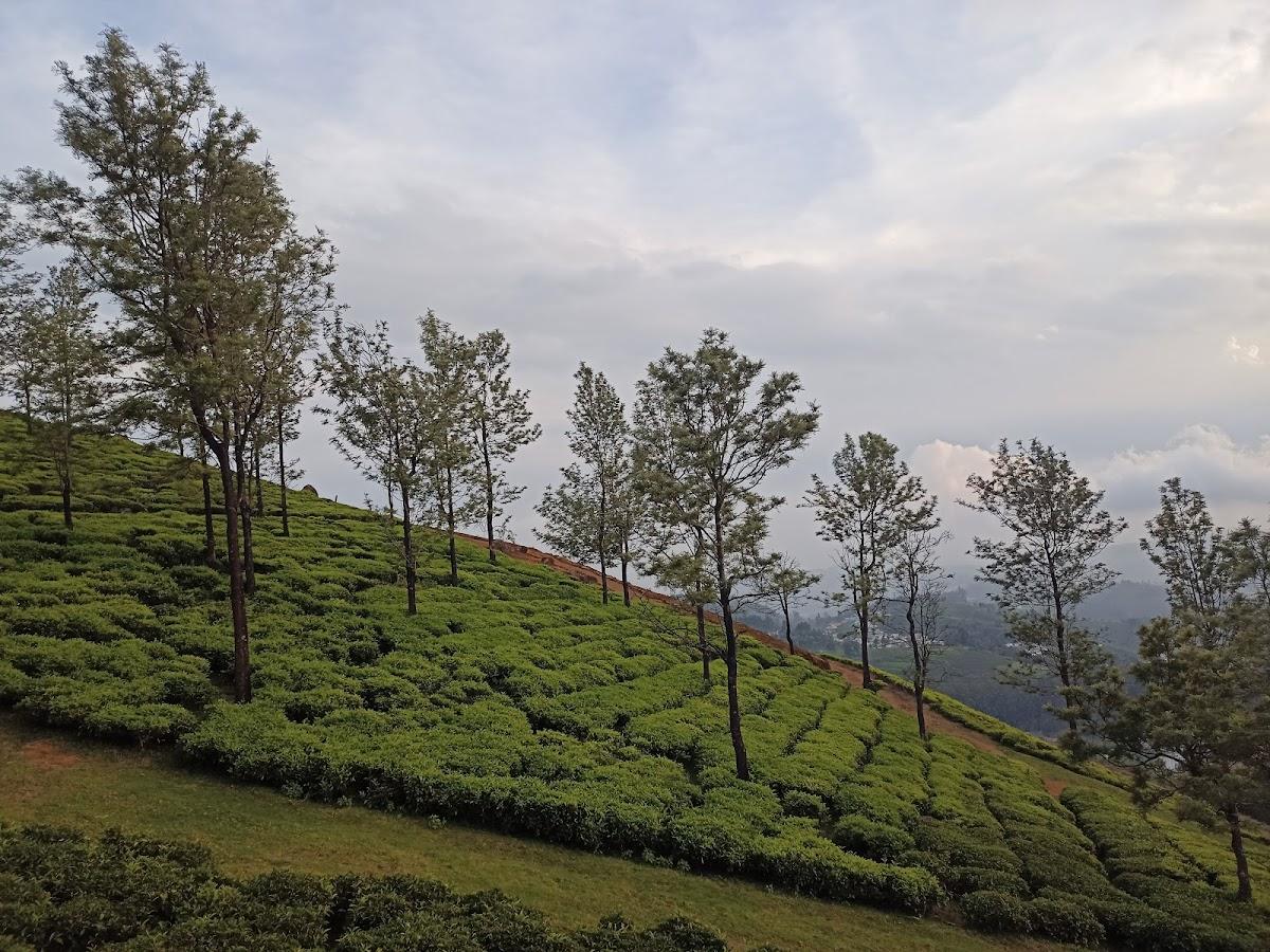 Logan Camp Ooty – photo 3