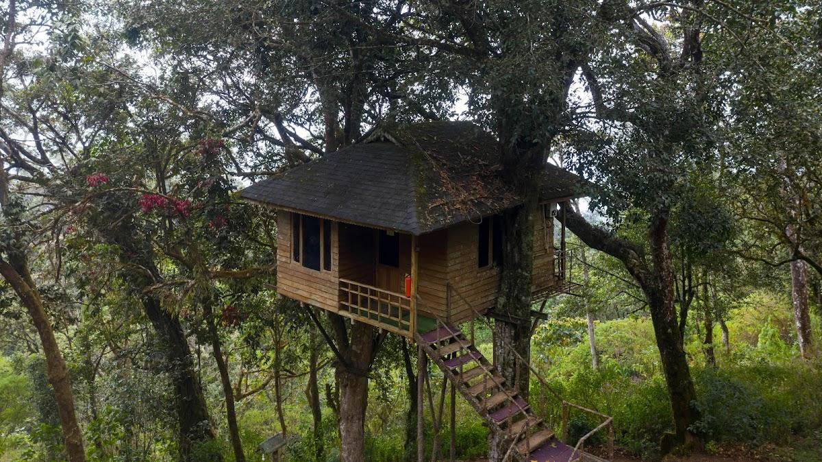 Nature Zone Resort Munnar - Tree House, Luxury Tents, Munnar