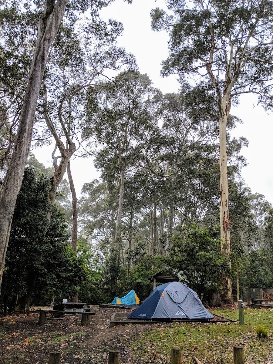 Pebbly Beach Campground – photo 4