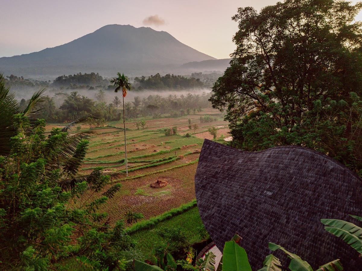 Jiva Bali | Bamboo house – photo 4