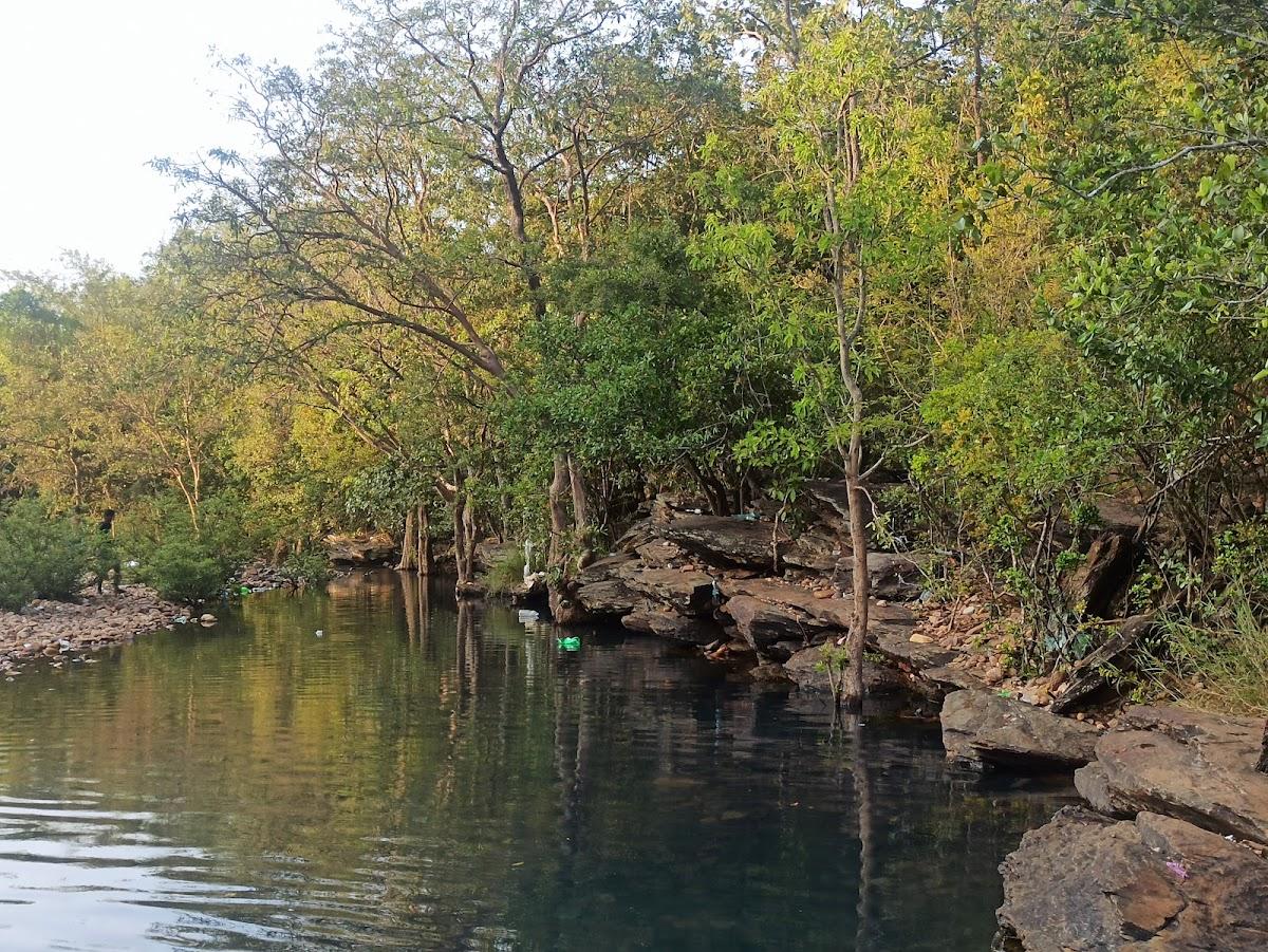 Mamandur forest eco tourism – photo 4