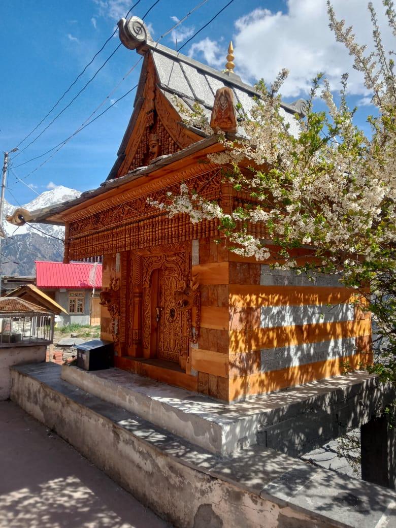 Winter Peak GuestHouse – photo 3