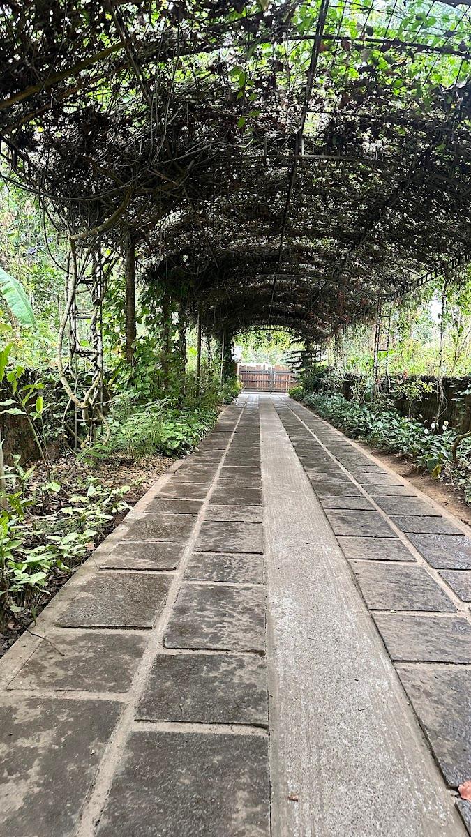 Kuruva Island Resort and Spa – photo 4