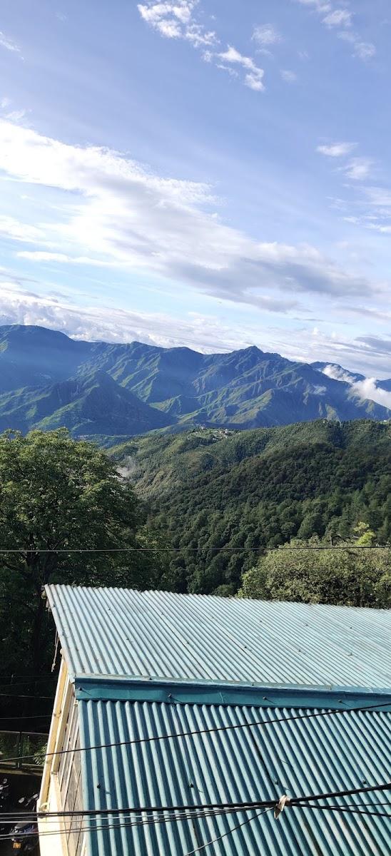 The Pine Homestay – photo 4