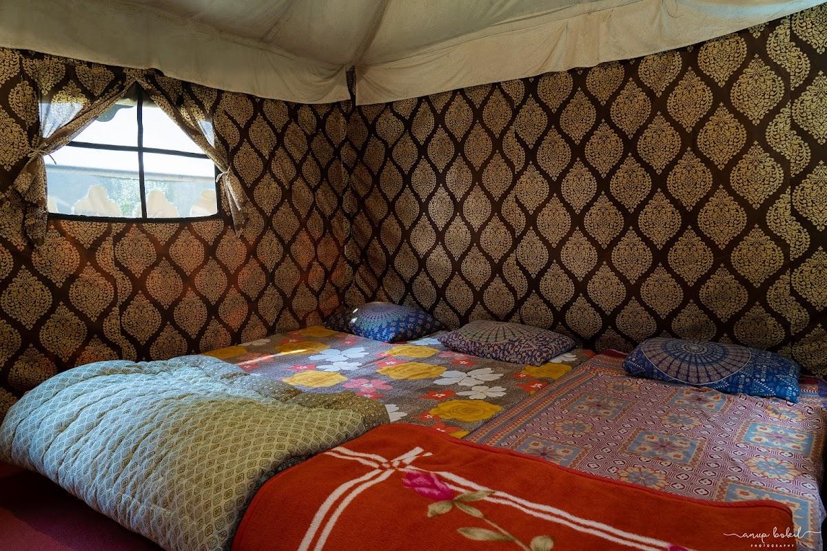 Parvati Woods Camps – photo 1
