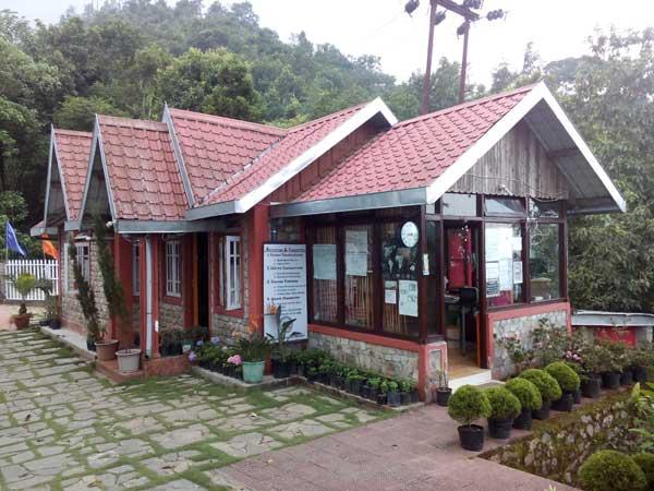 Chhota Mangwa – photo 3