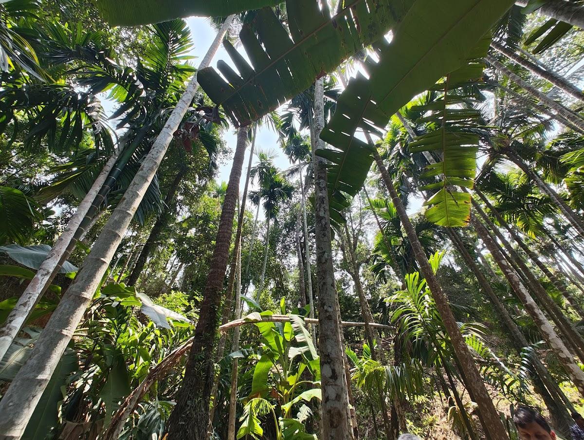 Sahakari Spice Farm