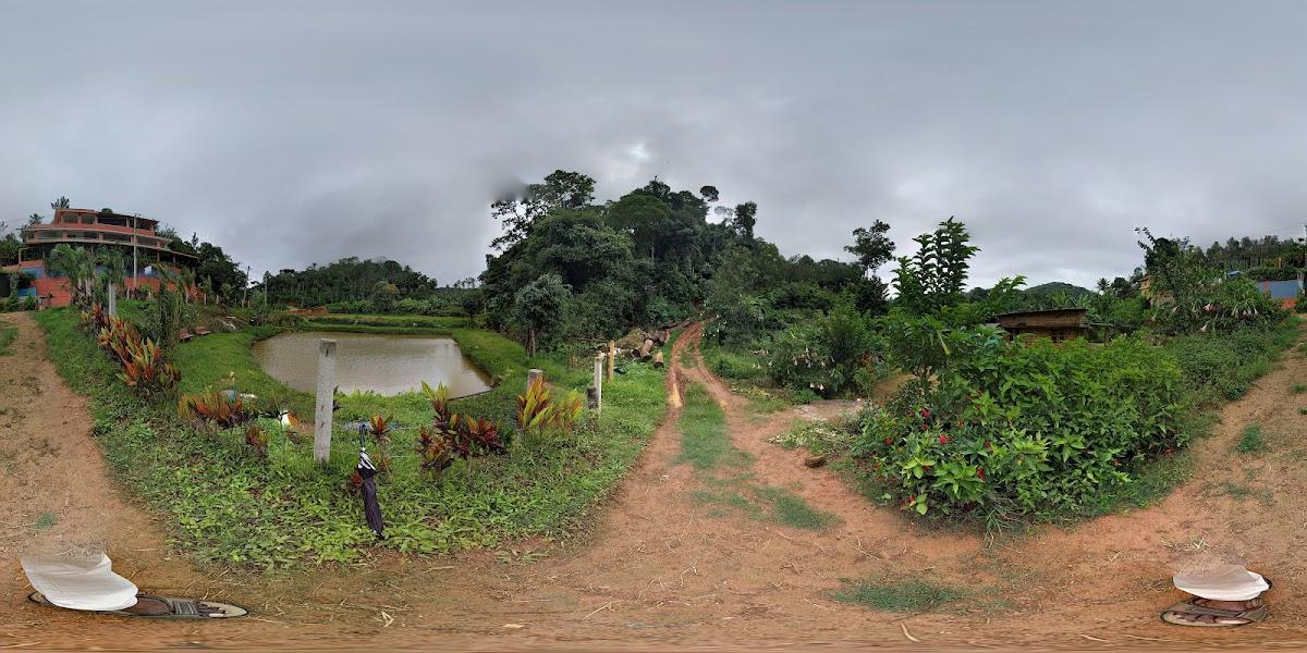 Deva Maani Coorg Nature View