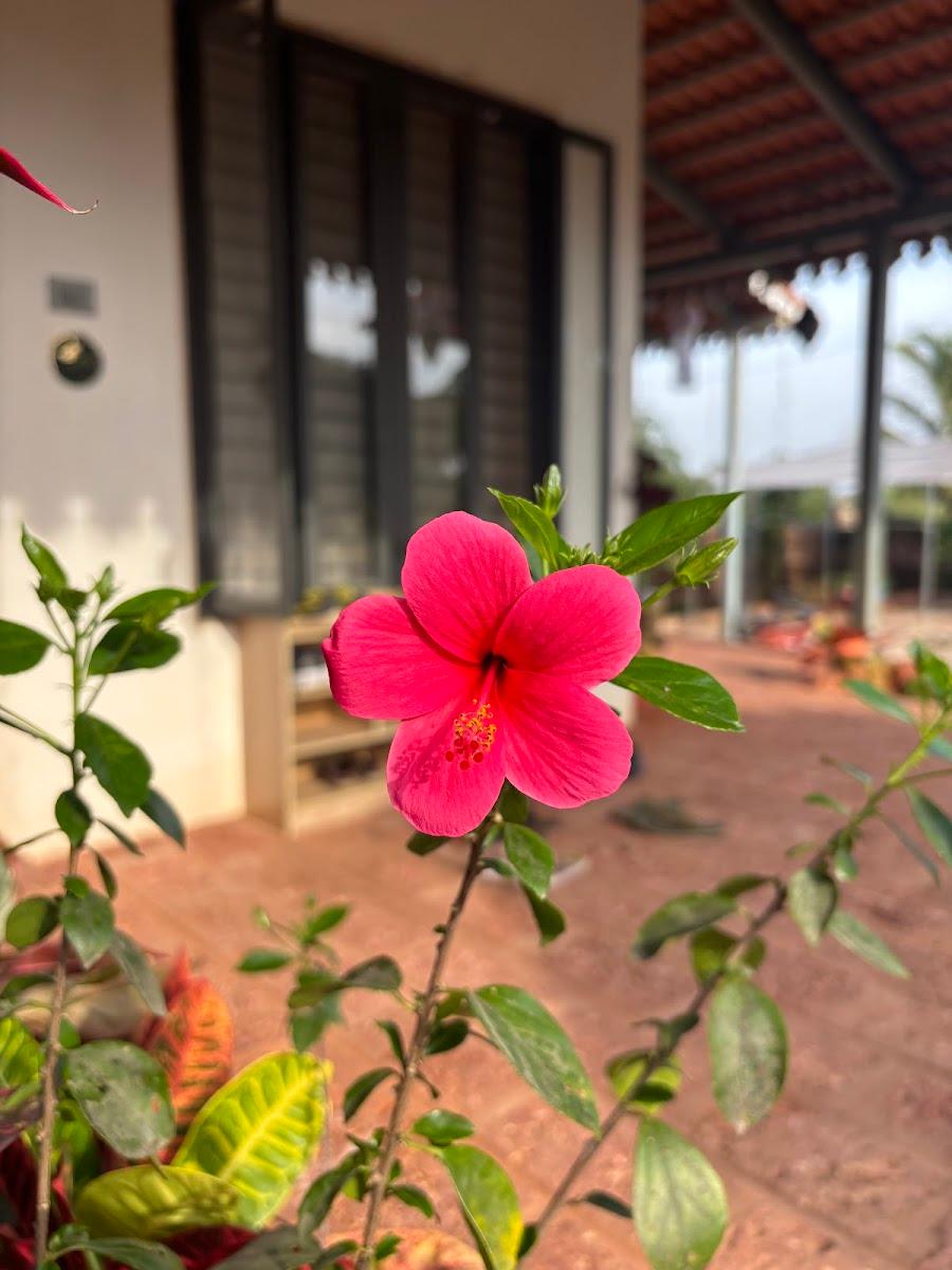 Mrudugandha Guest House – photo 4