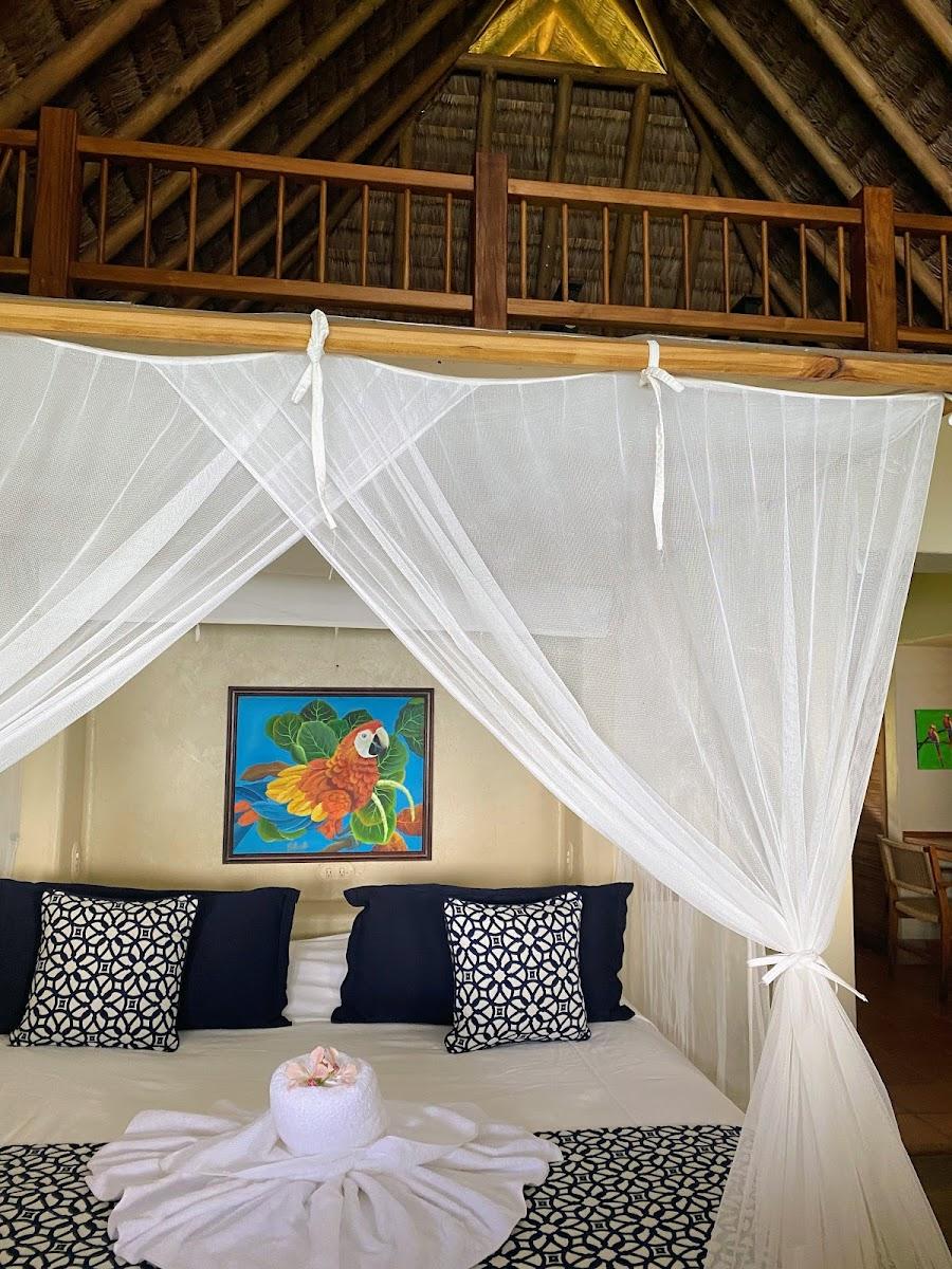 Bosque del Cabo Rain Forest Lodge – photo 2