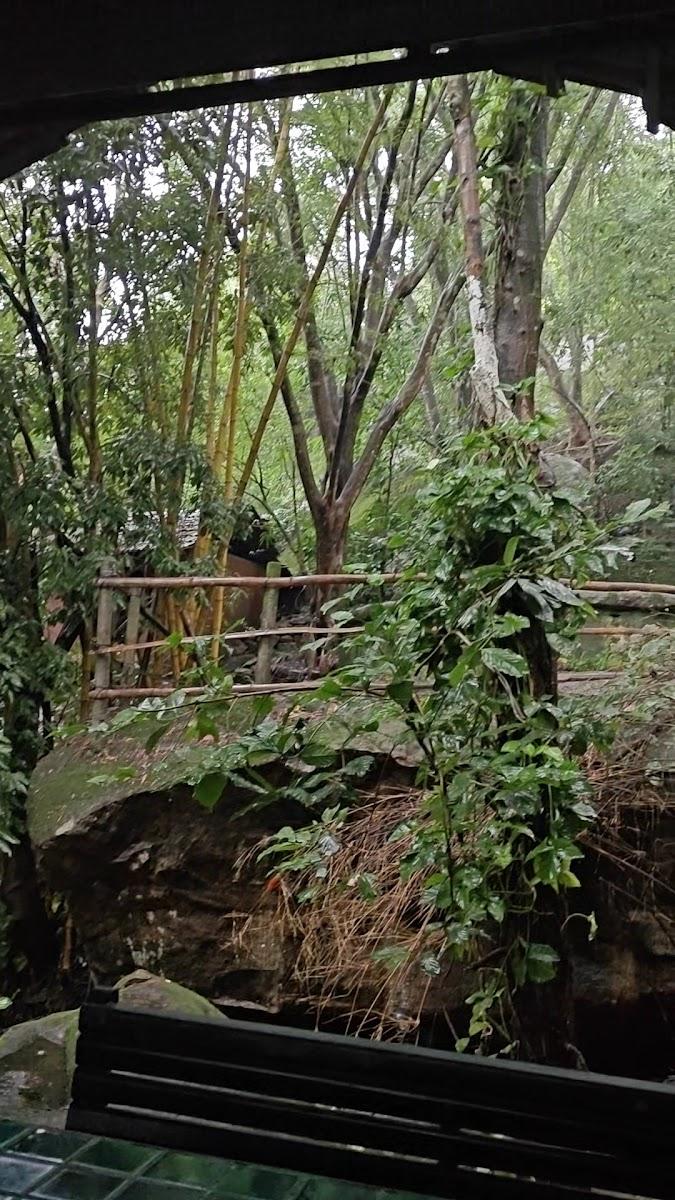Edakkal Hermitage Resort – photo 4