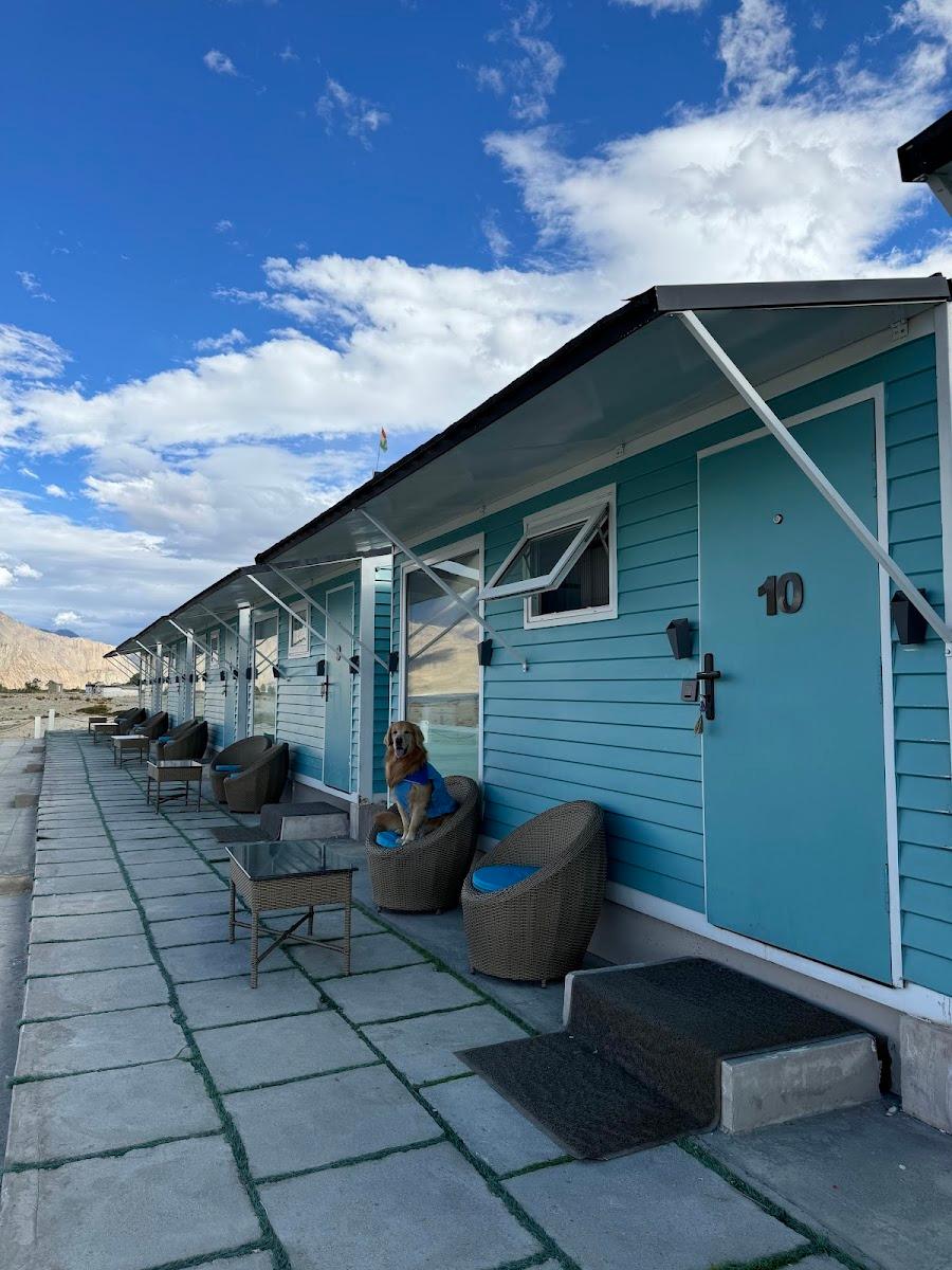 Desert Blue Pangong – photo 1