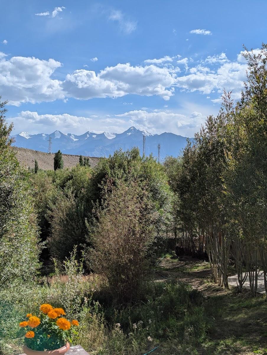 Ladakh Eco Resort – photo 3