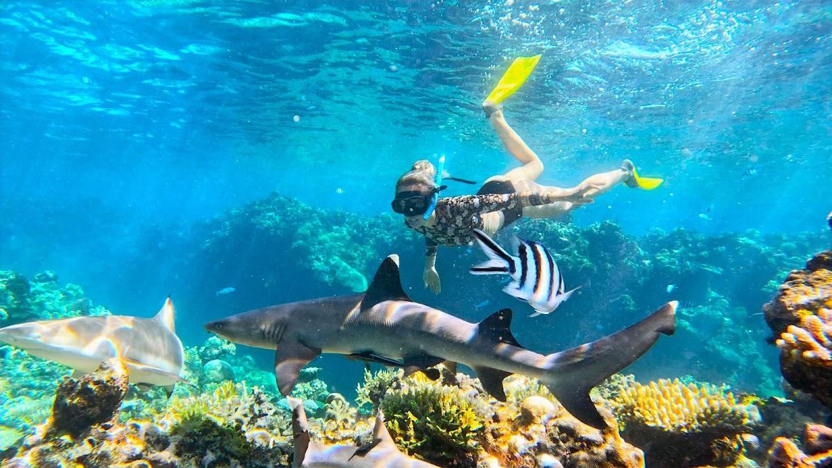 Barefoot Kuata Island Resort – photo 3