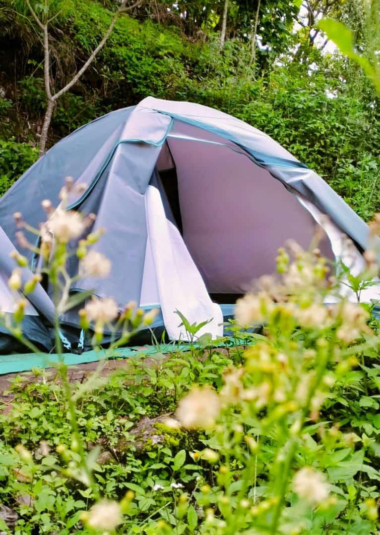 CampTop Munnar – photo 1