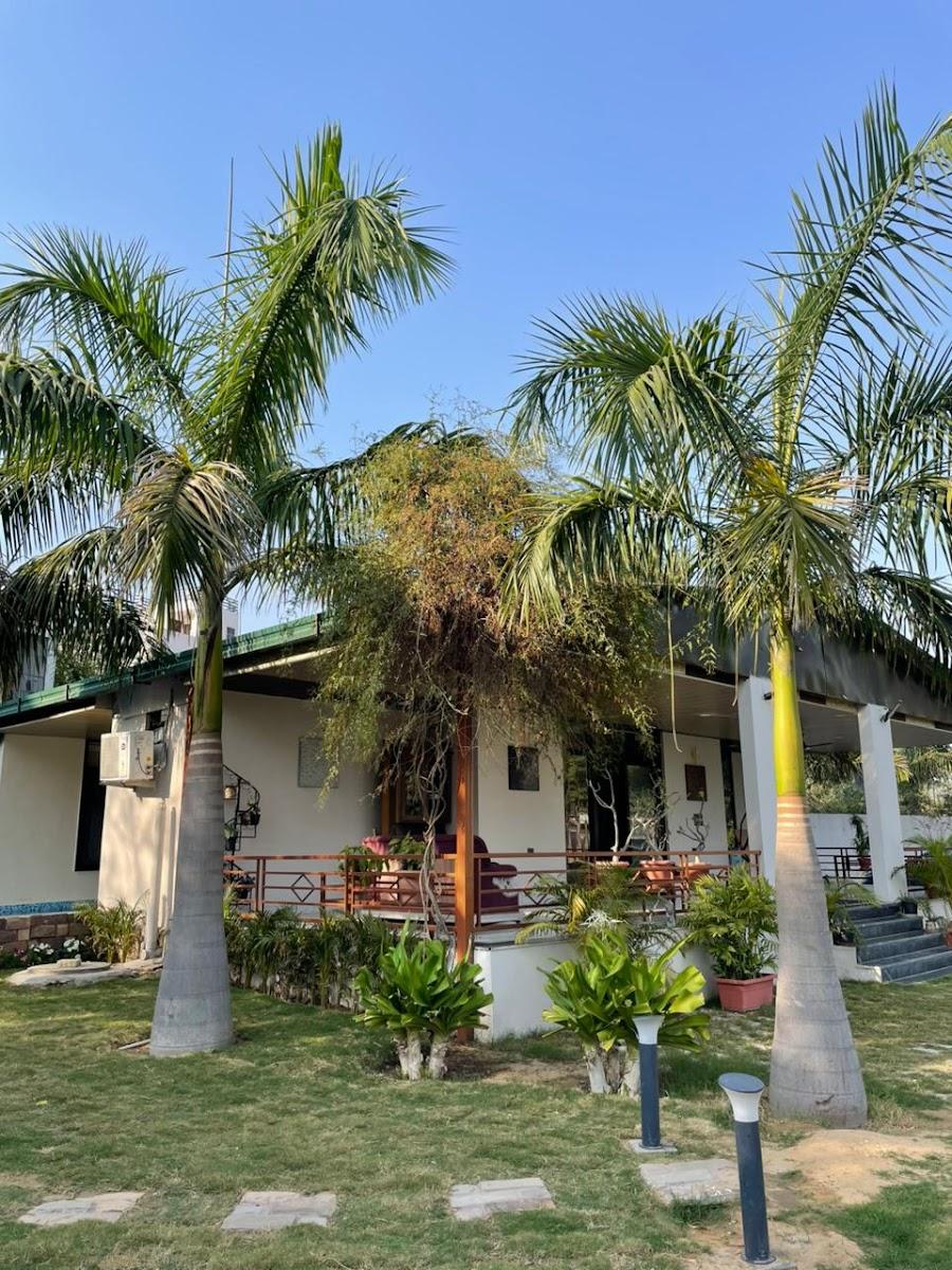 Green palm estate – photo 3