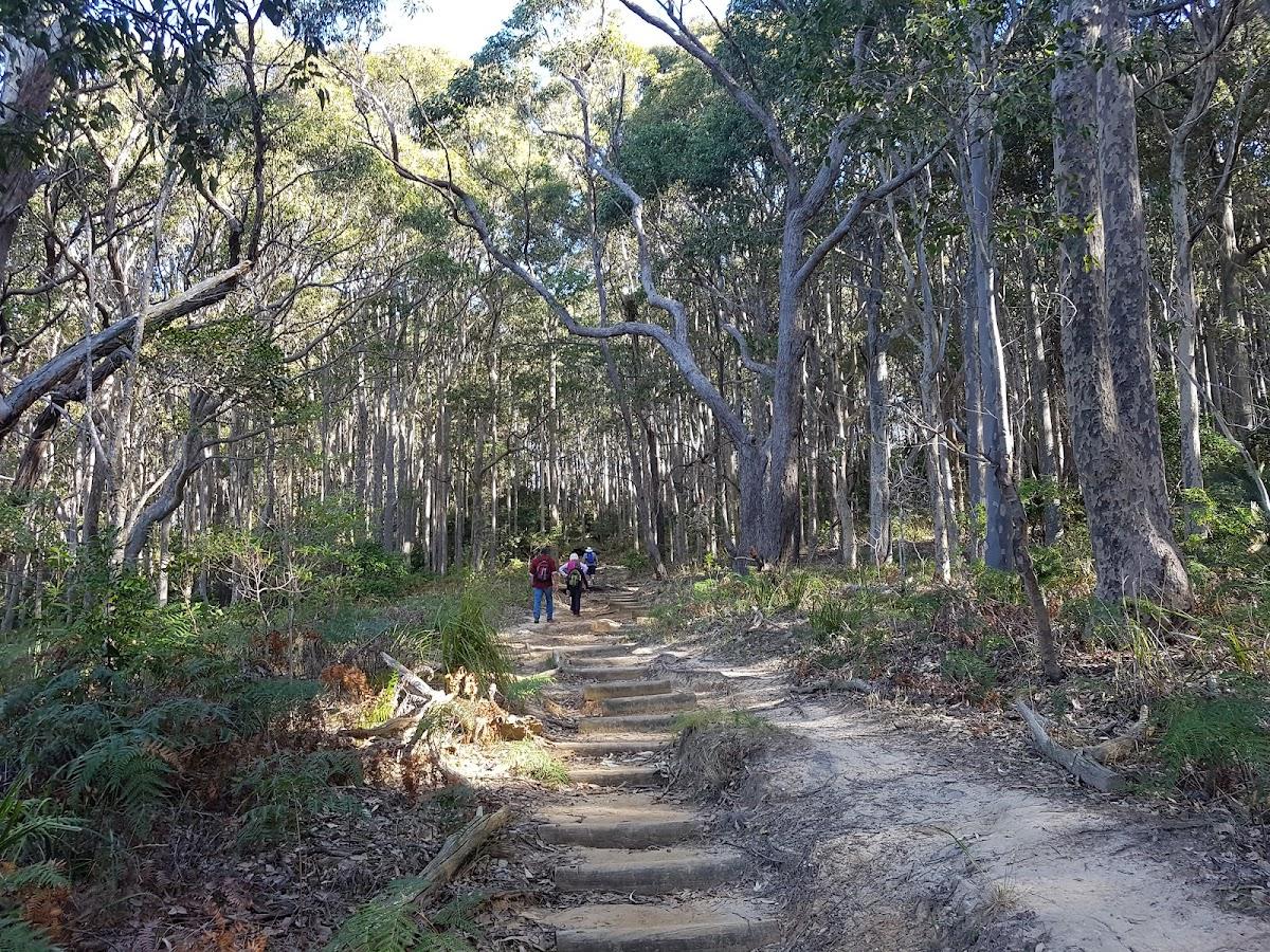 Pebbly Beach Campground – photo 3