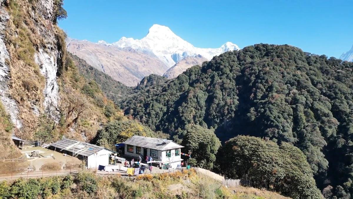Trekker's Sanctuary Lodge Banthanti hill – photo 1