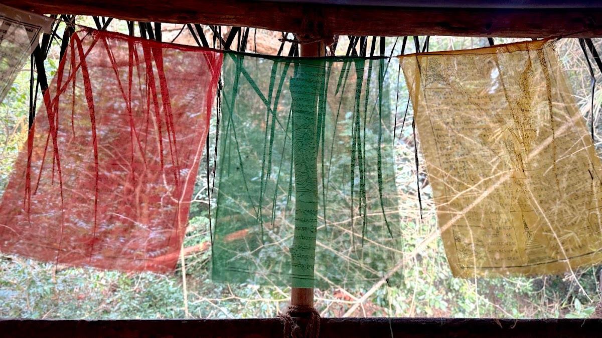 Nebula Nest Hostel & Cafe – photo 4