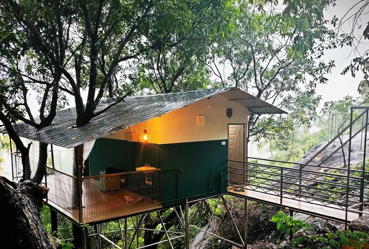 Ponkunnu farmstay and resorts – photo 1