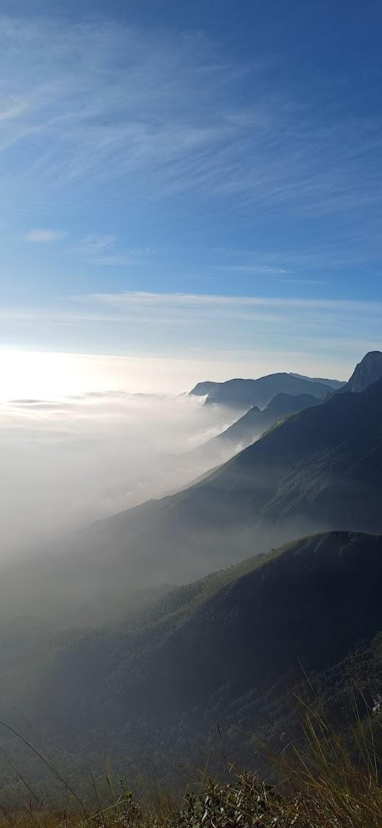 Cloud Farm Munnar – photo 2