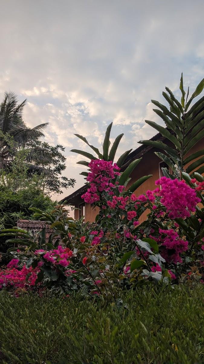 Banasura Hill Resort – photo 4
