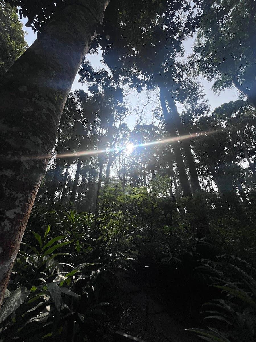 Wildvibes Wayanad – photo 4
