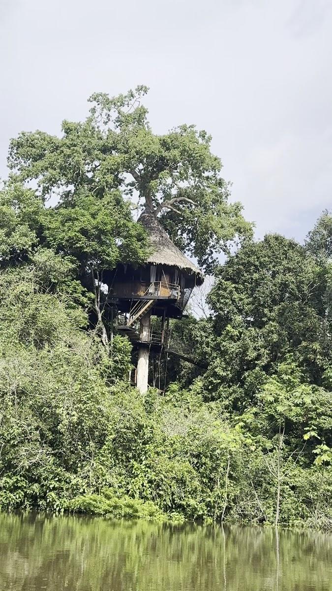 Treehouse Lodge – photo 4