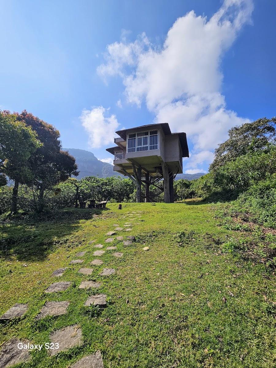 Tree Hut Kanthalloor – photo 2