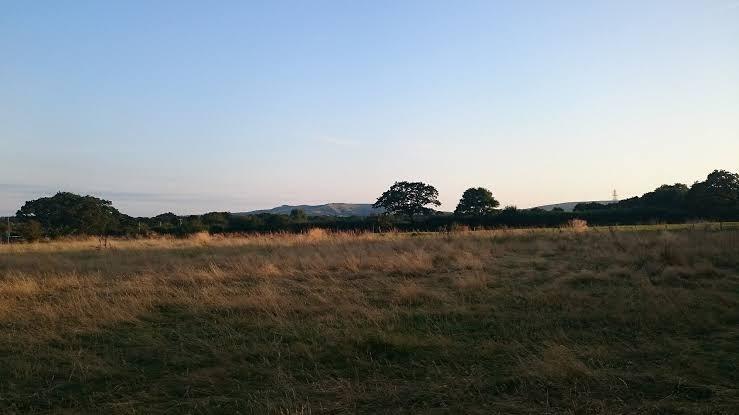 Peel House Farm Camping & Gardens (Touring Caravans & Caravan Storage, Holiday Lets) – photo 2