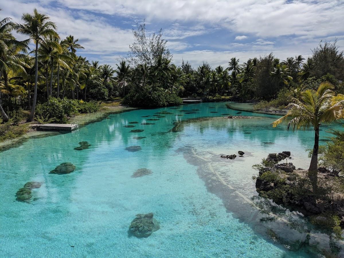 The St. Regis Bora Bora Resort – photo 4