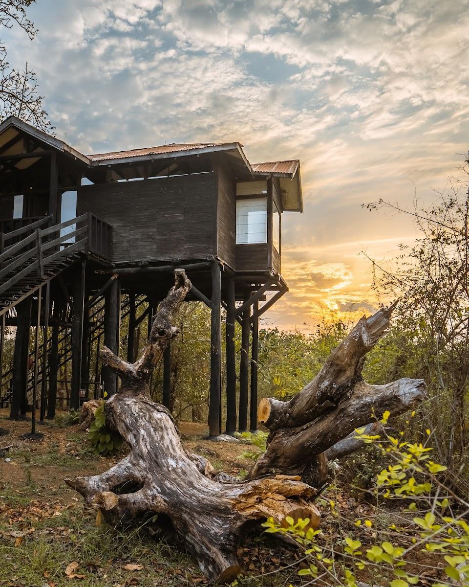 Pench Tree Lodge – photo 1