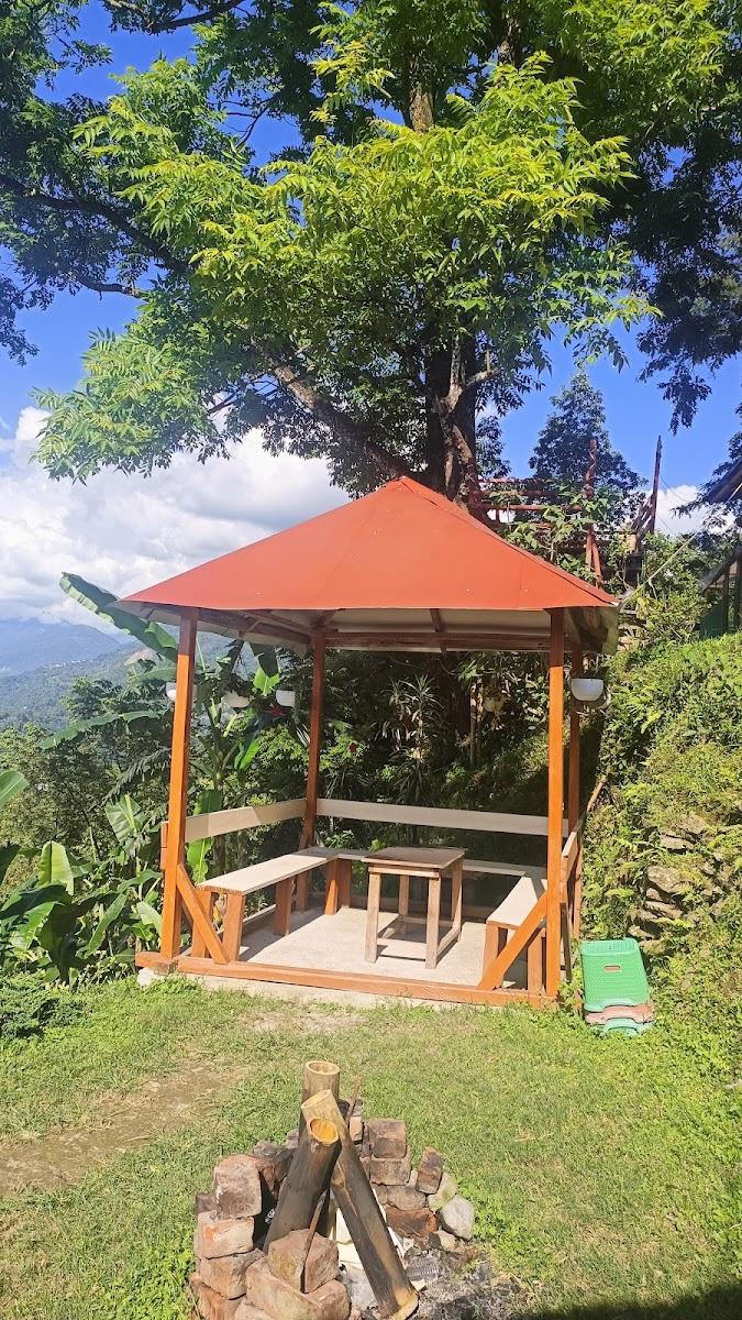 Ashika Home Stay(Mangal Da) – photo 4