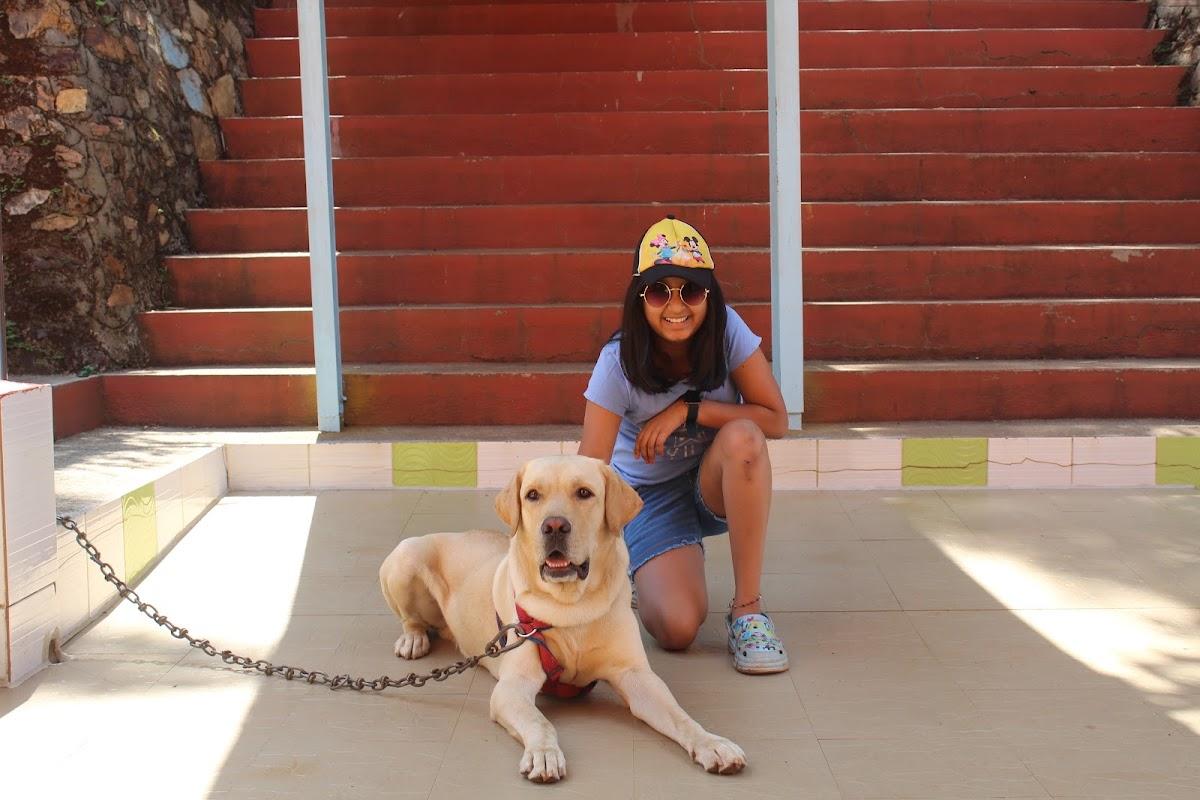 THE GREEN WOOD RESORT – photo 2