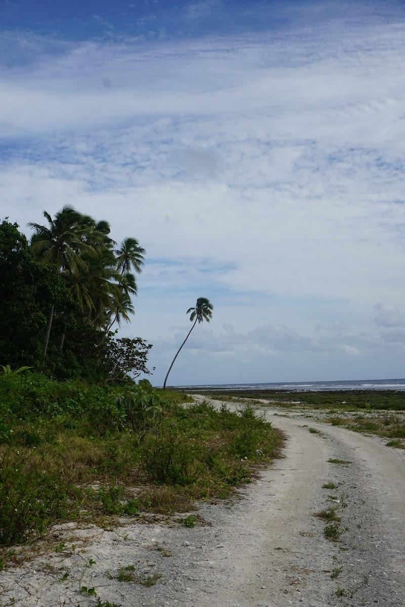 StayTonga – photo 1