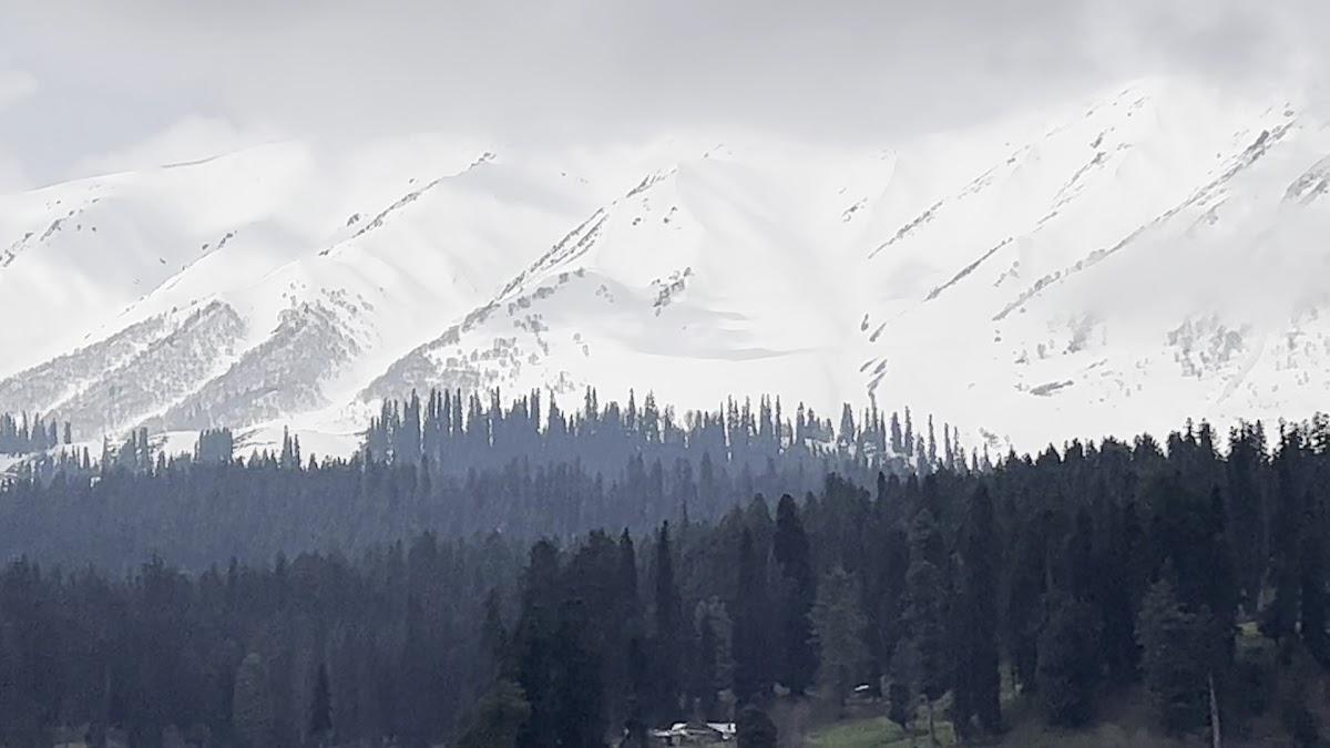 The Meadows Gulmarg